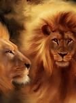 pic for lion duo